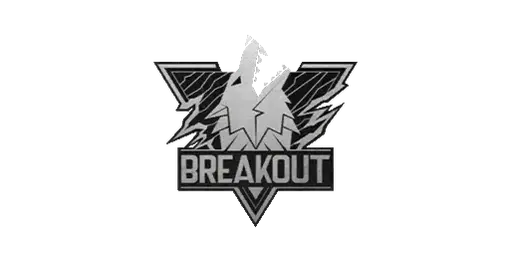 Sticker Breakout Silver