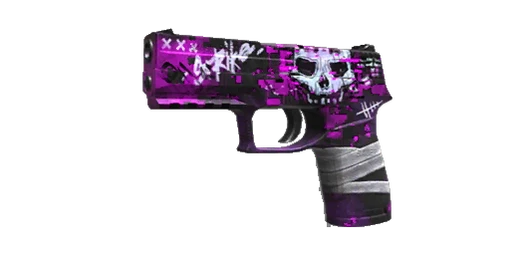 P350 Raider