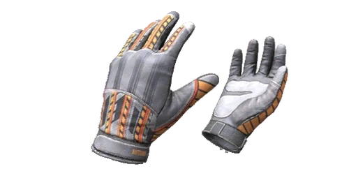 Gloves Autumn