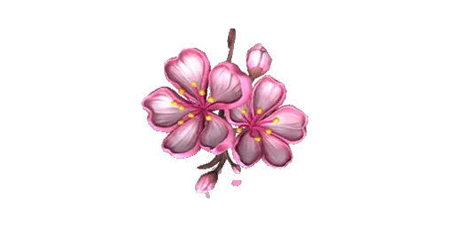 Charm Sakura